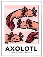 mignonne axolotl vecteur illustration