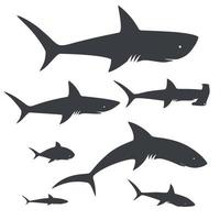 Requin. la vie marine. collection d'icônes. illustration vectorielle vecteur