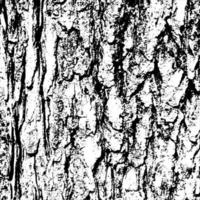 abstrait écorce d'arbre grunge texture background vecteur