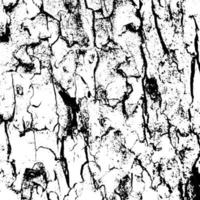 abstrait écorce d'arbre grunge texture background vecteur