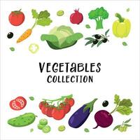 des légumes ensemble de en bonne santé végétarien ou végétalien aliments. main tiré vecteur illustration.