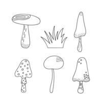 champignons, crapauds ensemble saisonnier Halloween vecteur illustration de immangeable Fée champignons l'automne vacances Facile minimaliste main tiré griffonnage style dessin