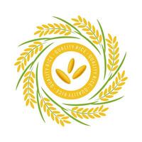 riz grain et paddy bouquet logo, cercle Cadre vecteur