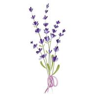 illustration vectorielle d'un bouquet de fleurs de lavande vecteur