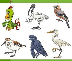 dessin animé oiseaux espèces animaux jeu de caractères vecteur