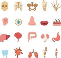 icônes de l'anatomie humaine vecteur