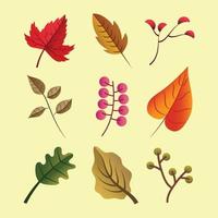 ensemble de modèles d'icônes de feuilles d'automne vecteur