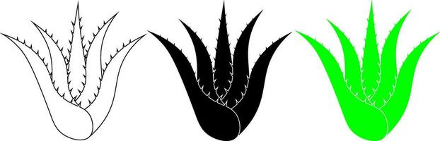 contour silhouette aloès Vera plante icône ensemble vecteur