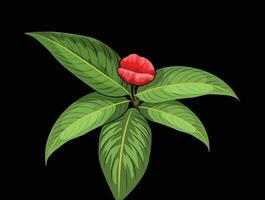 psychotrie elata fleur vecteur forme pour Contexte conception.