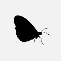 papillon vecteur png