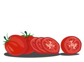 dessin vectoriel de fruits de tomates fraîches