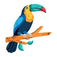 concepts de toucan à la mode vecteur