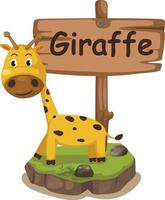 lettre de l'alphabet animal g pour girafe vecteur