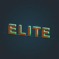 &#39;ELITE&#39; - Illustration réaliste d&#39;un mot en bois et verre brillant, vecteur