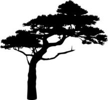 pin arbre silhouette isolé sur blanc Contexte. vecteur illustration.