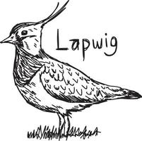 Lapwig - croquis d'illustration vectorielle dessinés à la main vecteur