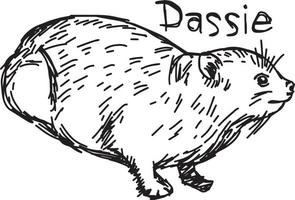 Dassie ou rock hyrax - croquis d'illustration vectorielle vecteur