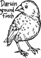 Darwin Ground Finch - croquis d'illustration vectorielle vecteur