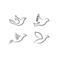modèle de logo de colombe vecteur