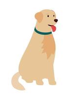 chien golden retriever, assis. illustration vectorielle plane vecteur