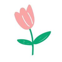 tulipe rose isolé sur fond blanc. vecteur