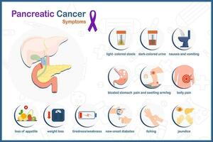 vecteur médical illustration dans pancréatique cancer concept. symptômes de pancréatique cancer dans plat style, isolé sur blanc Contexte et violet ruban symbole de pancréatique cancer.