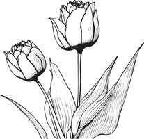 tulipe fleur noir contour illustration vecteur