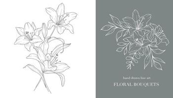 lis fleur ligne art. fleurs de lys bouquets ligne art. bien ligne fleurs de lys arrangements main tiré illustration. contour feuilles et fleurs. botanique coloration page. contour lis isolé sur blanc vecteur