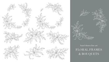 lis fleur ligne art. floral cadres et bouquets ligne art. bien ligne fleurs de lys cadres main tiré illustration. contour feuilles et fleurs. botanique coloration page. contour lis isolé sur blanc vecteur