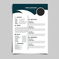 professionnel reprendre CV vecteur graphique modèles