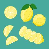 tranches de citron en coupe isolée. agrumes entiers et tranchés vecteur
