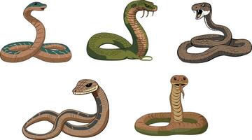 vecteur un illustration de une cobra reptile en portant ses tête en haut Facile main tiré style illustration