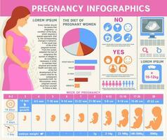 grossesse infographie. santé de Enceinte femmes et fœtal développement. vecteur illustration avec Icônes ensemble et conception éléments. constructeur pour création votre posséder conception, infographies.