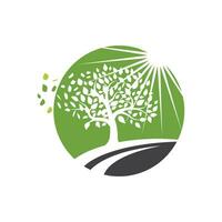 logos de l'écologie des feuilles d'arbre vert vecteur