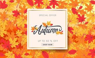 mise en page de fond de vente d'automne décorer avec des feuilles vecteur