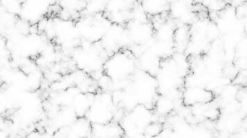 fond de texture de marbre blanc vecteur