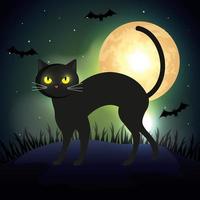 chat dans la nuit noire scène d'halloween vecteur