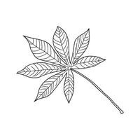 main tiré des gamins dessin dessin animé vecteur illustration manioc feuilles isolé sur blanc Contexte