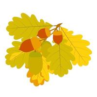 illustration d'automne de feuilles de chêne et de glands. vecteur