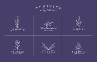 beau logo féminin dessiné à la main pour l'ensemble de collection de marque vecteur