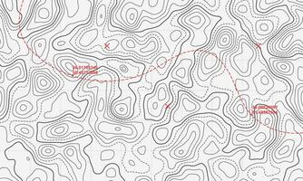 océan topographique ligne carte avec courbée vague isolignes vecteur illustration.