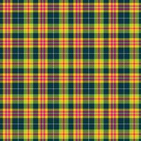 tartan vecteur sans couture modèle conception, flanelle vecteur,