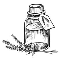 lavande essentiel huile. main tiré vecteur illustration de ancien bouteille pour aromathérapie sur blanc isolé Contexte. ligne art dessin de vieux flacon avec fleurs pour cosmétique ou médicament