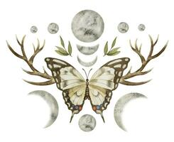 papillon avec les lunes et cerf cornes. aquarelle illustration de un insecte avec ailes et bois dans une magique céleste composition. main tiré sur une blanc isolé Contexte. ancien ésotérique impression vecteur