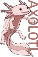 illustration de axolotl dans dessin animé style vecteur