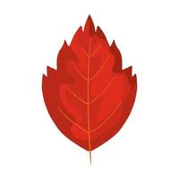 icône isolé de feuille d'automne de saison vecteur