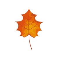 icône isolé de feuille d'automne de saison vecteur