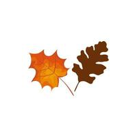 icône isolé de feuilles d'automne de saison vecteur