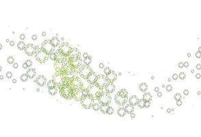 disposition de vecteur vert clair avec des formes de cercle.