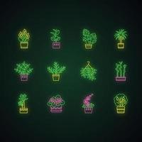 jeu d'icônes de néon de plantes d'intérieur vecteur